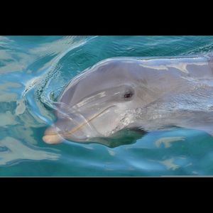 Meet your Posher, Stacie